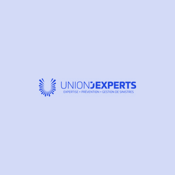Uniondexperts-bleu